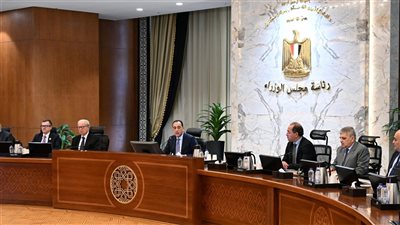 مدبولي يتابع ملفات العمل المشترك بين وزارتي المالية والبترول لتعزيز أمن الطاقة