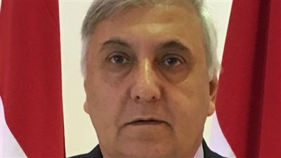 السفير فهمي فايد:قمة العلمين تؤسس لإطار إقليمي يربط أمن القرن الأفريقي والبحر الأحمر والنيل