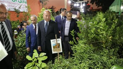 محافظ القاهرة: نعمل على دعم كل المبادرات التي تشجع على التشجير