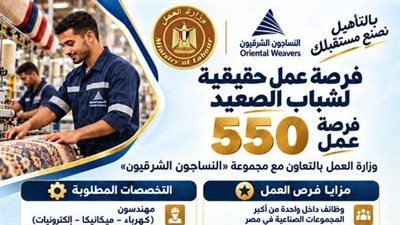 وزارة العمل تعلن 550 وظيفة لشباب الصعيد بـ