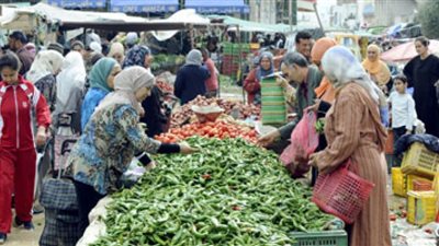 فيديو.. مواطنون تعليقًا على غلاء الطماطم: 