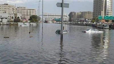 فيديوـ مواطنون: الإسكندرية أصبحت 