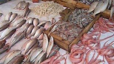 ننشر أسعار الأسماك بسوق العبور
