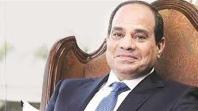 السيسى يلتقي رئيس شركة 