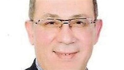 خطة لزيادة صادرات الجلود من 800 مليون دولار إلي 3 مليارات