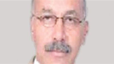 الأخونة تسير تدريجياً فى الجيزة.. والمحافظ القادم من الجماعة