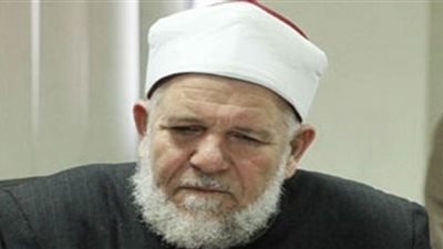 عفيفي يزعم:ميدان رابعة جزء من الجنة