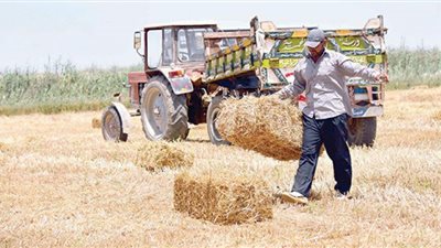 أسيوط..المزارعون غاضبون من الحكومة