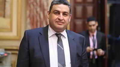 برلماني يوضح أهمية صناعة الجلود على الاقتصاد القومي