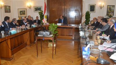 حنفي: تحالفات إستراتيجية مع كبار المستثمرين العرب