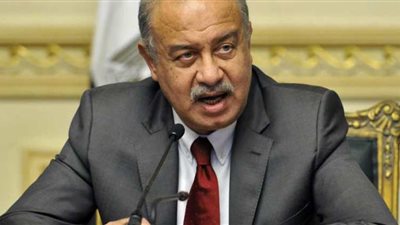 رئيس الوزراء يوجه بسرعة إقامة مدينة متخصصة فى صناعة الجلود