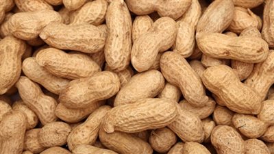 100% ارتفاعًا بصادرات الفول السوداني و84% بالثوم خلال 6 أشهر