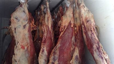 طرح 2 طن لحوم بأسعار مخفضة في مغاغة