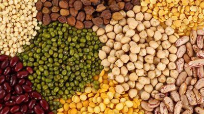 الحكومة تتخلى عن دعم المزارعين وتفتح الأسواق للبقوليات المستوردة