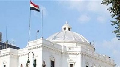 آخرهم أحمد فاروق.. أبرز 4 اعتصامات للنواب تحت قبة البرلمان