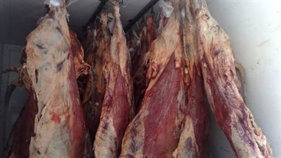 طرح طن لحوم ومواد غذائية في مغاغة بالمنيا