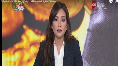 فيديو.. رئيس غرفة الصناعة يكشف سبب غلاء أسعار الجلود