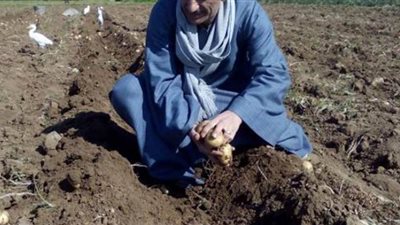 الديون تلاحق الفلاحين بسبب الأسمدة