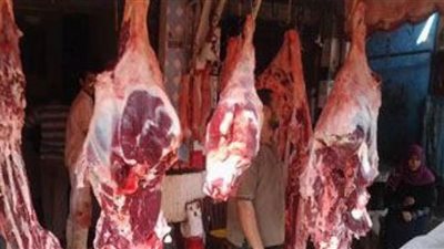 طرح 620 كيلو من اللحوم والدواجن في مغاغة بالمنيا