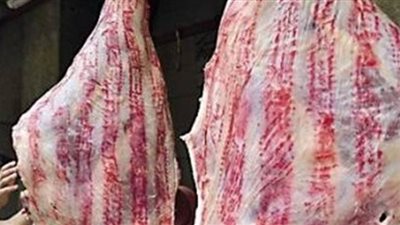 طرح 710 كيلوجرامات من اللحوم بأسعار مخفضة للمواطنين بمغاغة بالمنيا
