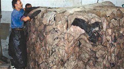 1000 مدبغة و23ألف ورشة جلود فى 