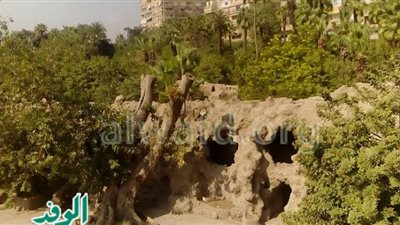 «الأسماك».. من جنة إلى خرابة