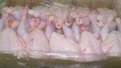 طرح 620 كيلو دواجن بأسعار مخفضة بالمنيا