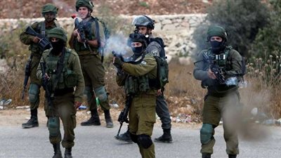 عربية النواب تندد بمصادرة الاحتلال للأراضي الفلسطينية