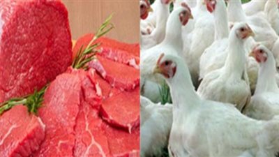 ارتفاع طفيف فى أسعار الدواجن بالأسواق اليوم