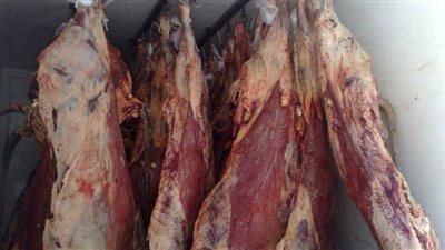 طرح 2 طن لحوم ودواجن مجمدة بأسعار مخفضة في المنيا