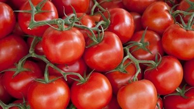 بعد ارتفاع «أسعار الطماطم» أبرز 6 حملات للمقاطعة.. وخبير: حيلة الضعفاء