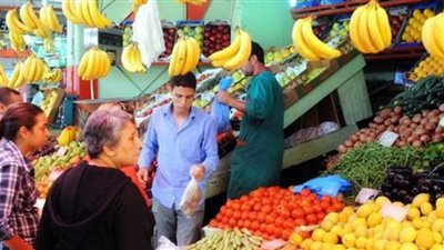 بالفيديو.. تعرف على أسعار الخضار والفاكهة في سوق الجملة