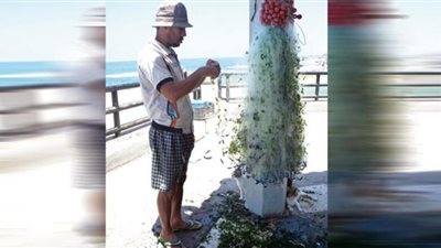 مكرونة.. صياد على باب الله يصارع الفقر ومافيا الزريعة