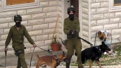 قوات الاحتلال تقتحم مقر الأسرى الفلسطينيين المضربين عن الطعام